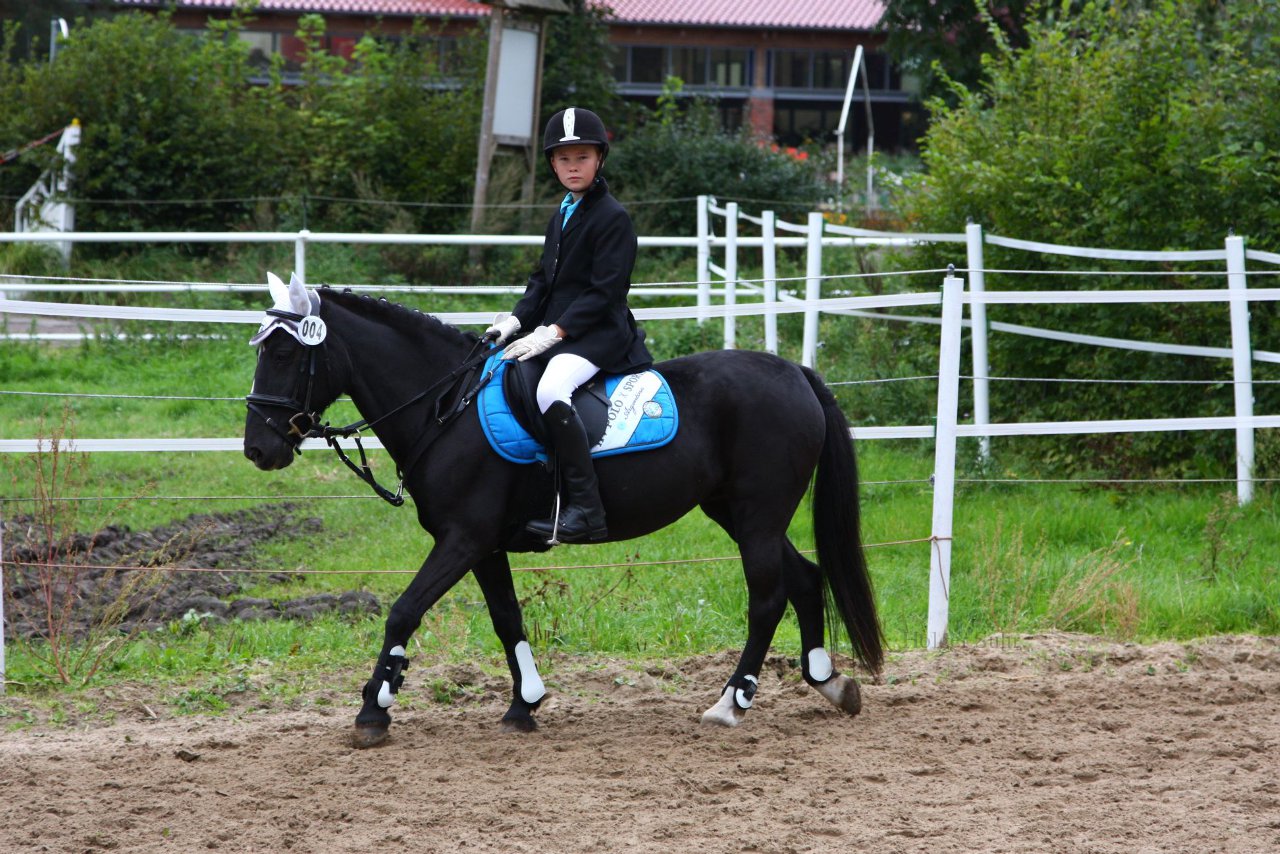 Bild 1197 - WBO-Turnier am 18.9.11